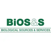 Finance Specialist / Financial Administrator (m/w/d)