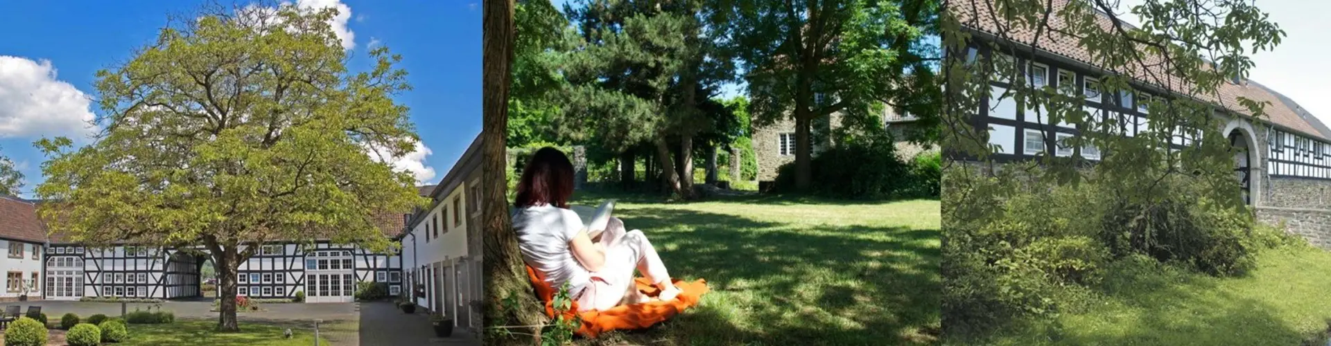 Fachklinik Gut Zissendorf cover